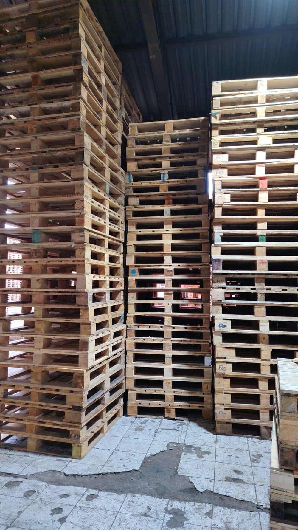 Pallets de madera almacenados en bodega 4M Pallets SPA