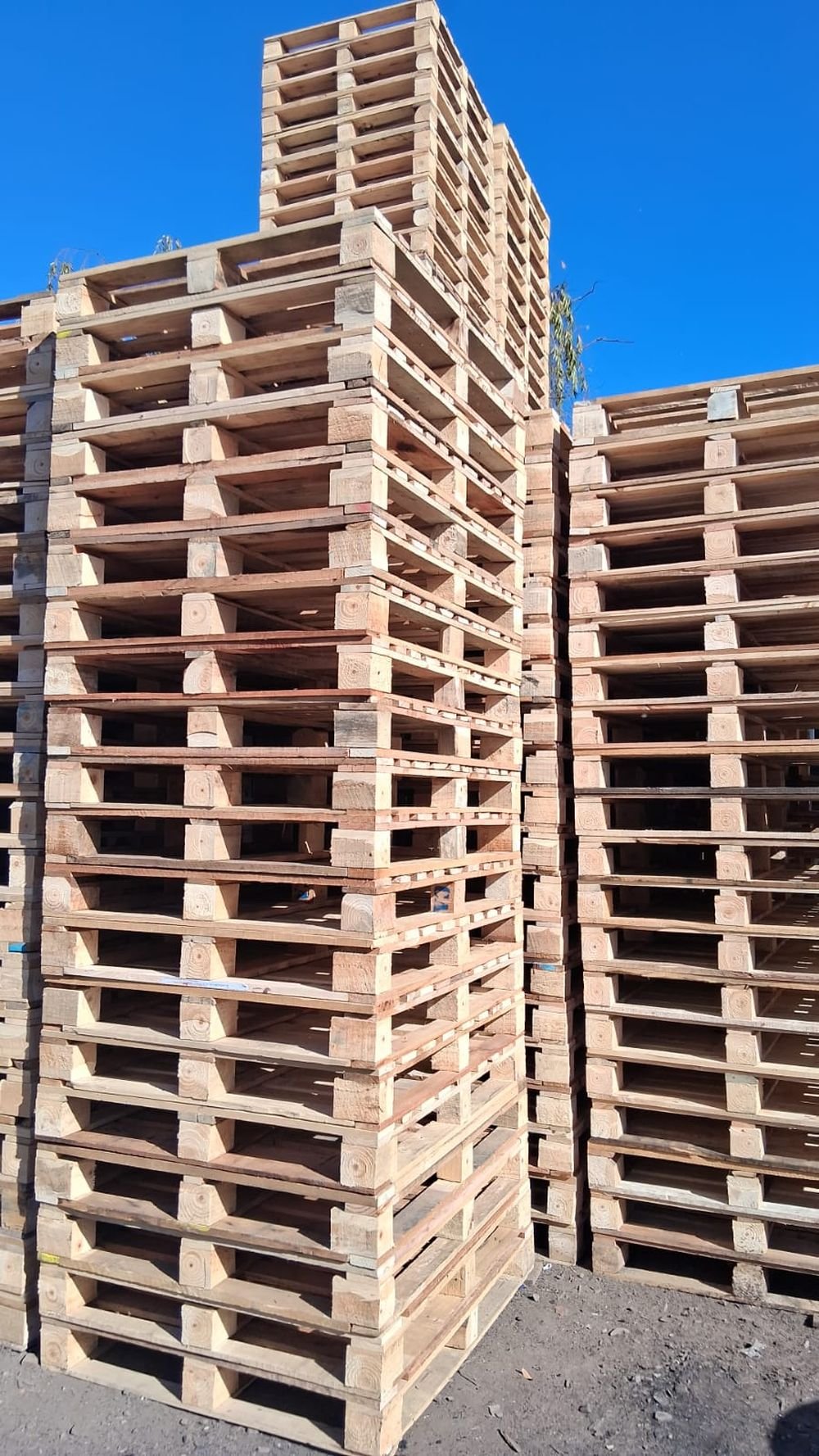 Detalle de pallets de madera apilados en bodega